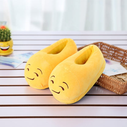 Slippers Emoticons Varied