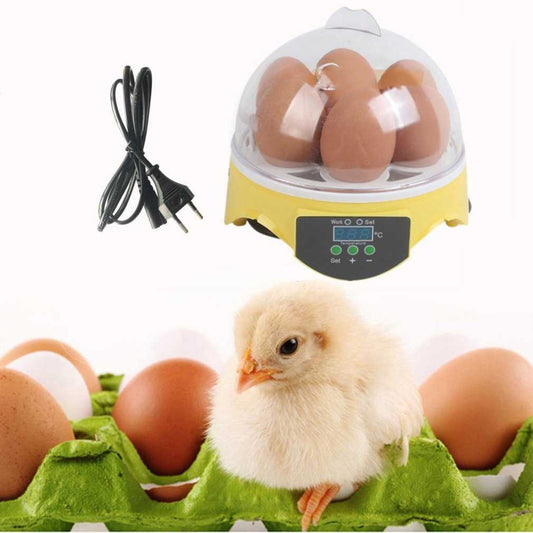 Digital egg incubator with temperature control